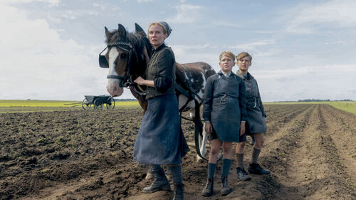 Film Amrum