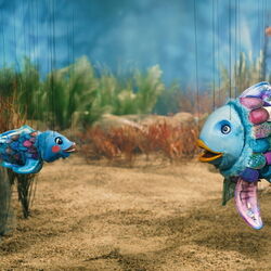 Special Preview für Kids: DER REGENBOGENFISCH